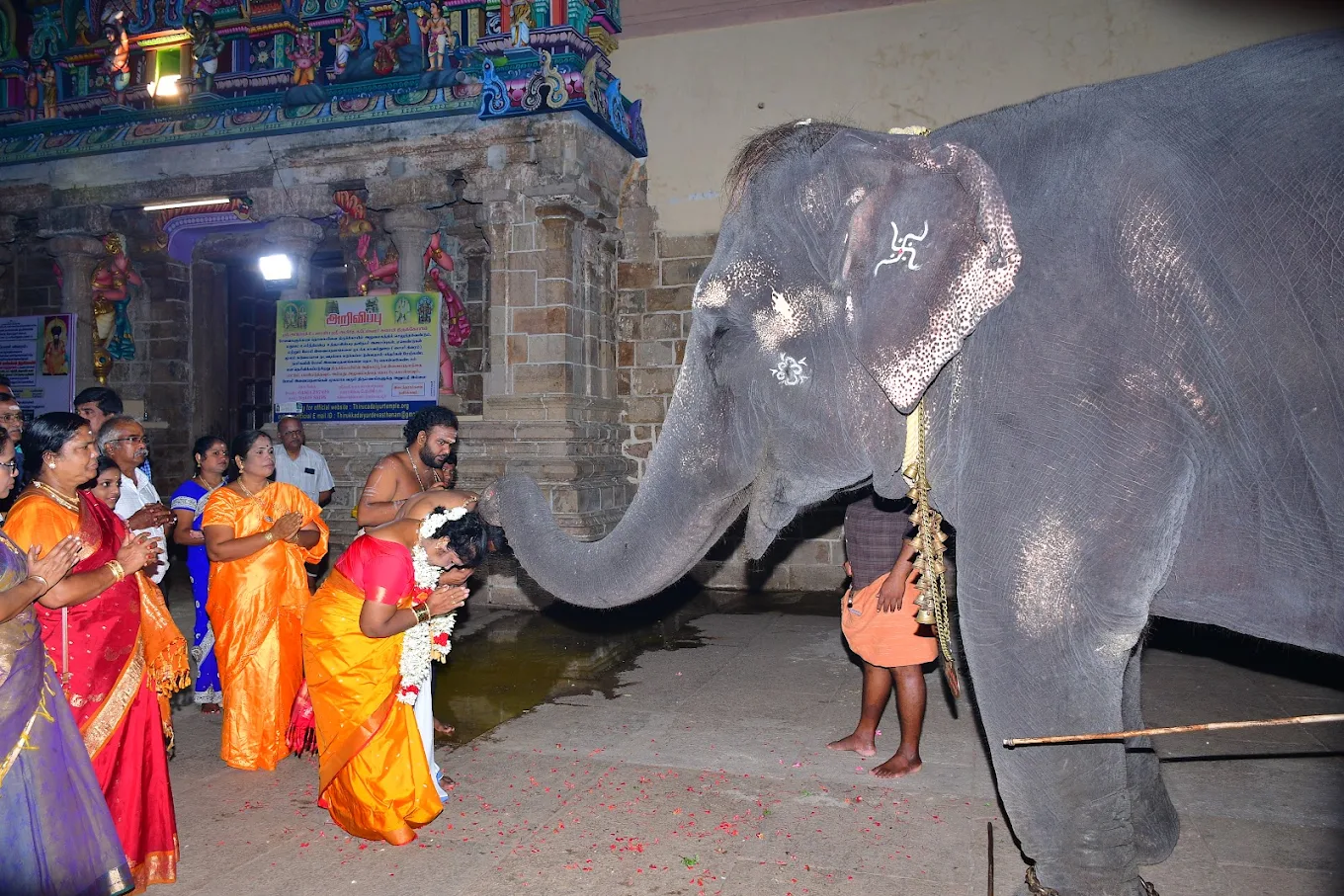 Guests celebrating the wedding day